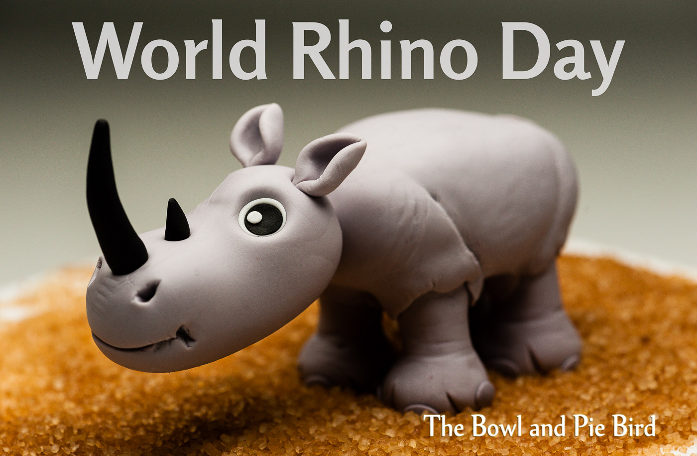 Read more about the article Welt Nashorn Tag 2016 | World Rhino Day 2016