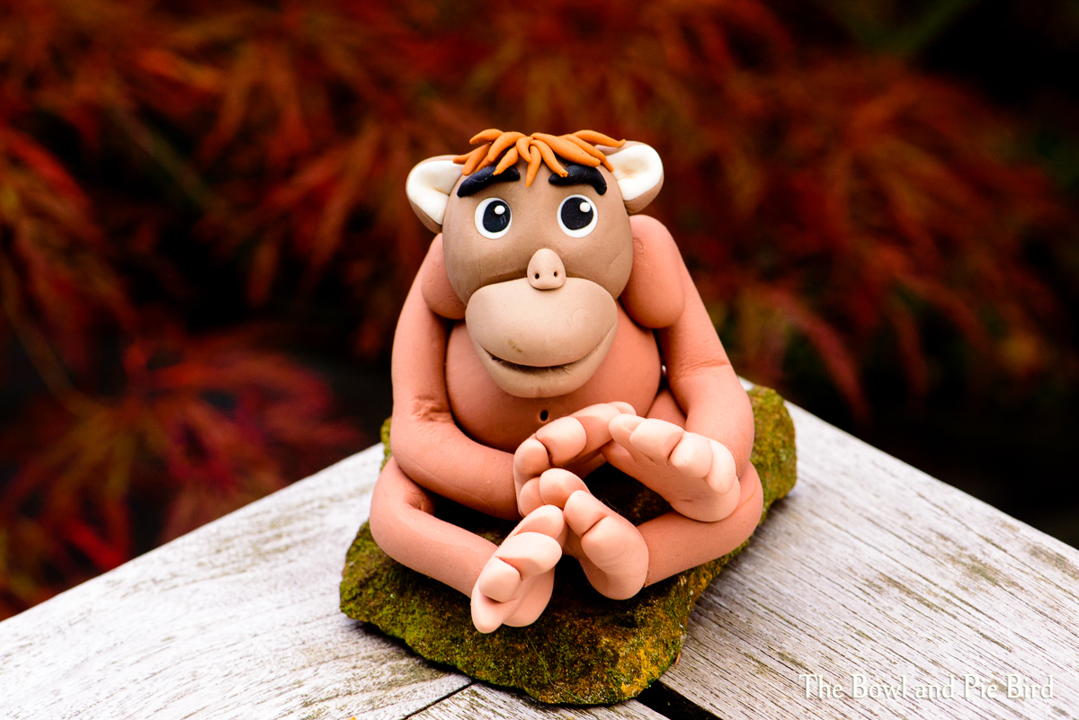 Read more about the article Tiere auf der ganzen Welt | Animals Around The World