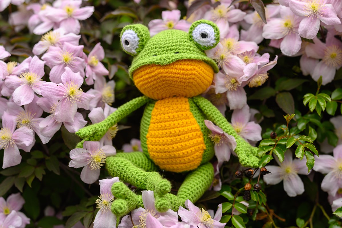 Read more about the article Fritz the Frog